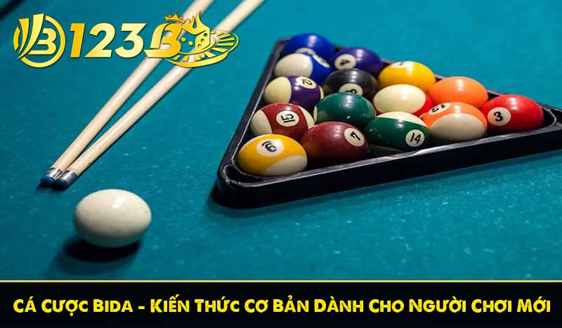 Cá Cược Bida – Kiến Thức Cơ Bản Dành Cho Người Chơi Mới