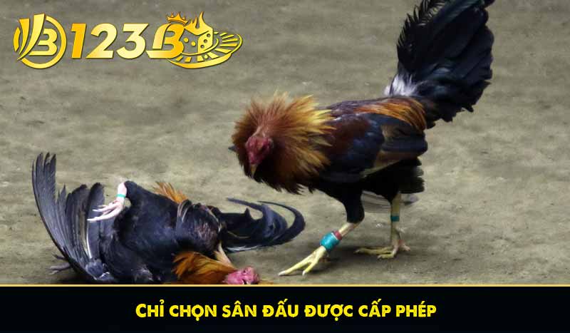 Chỉ chọn sân đấu được cấp phép