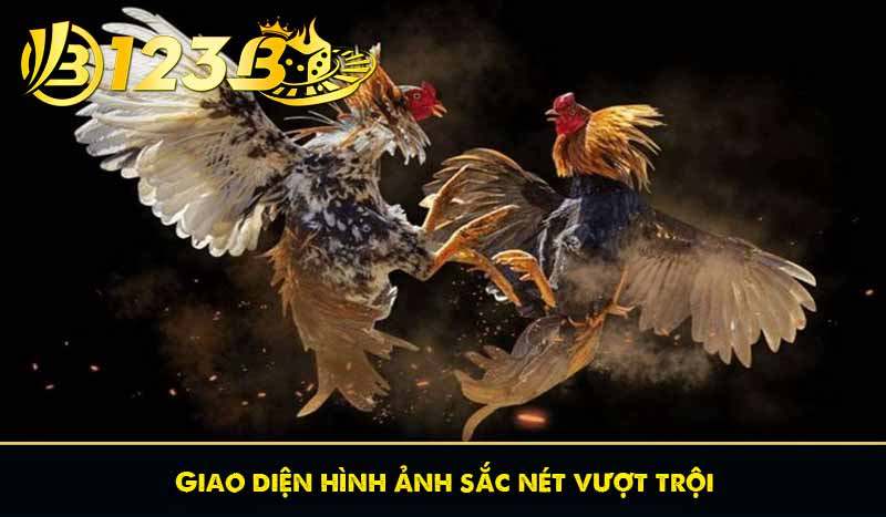 Giao diện hình ảnh sắc nét vượt trội