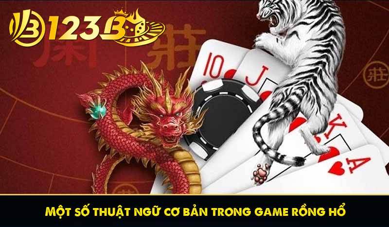 Một số thuật ngữ cơ bản trong game rồng hổ